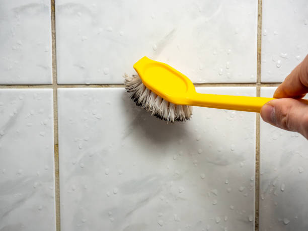 Mold Removal and Inspection in Watchung, NJ
