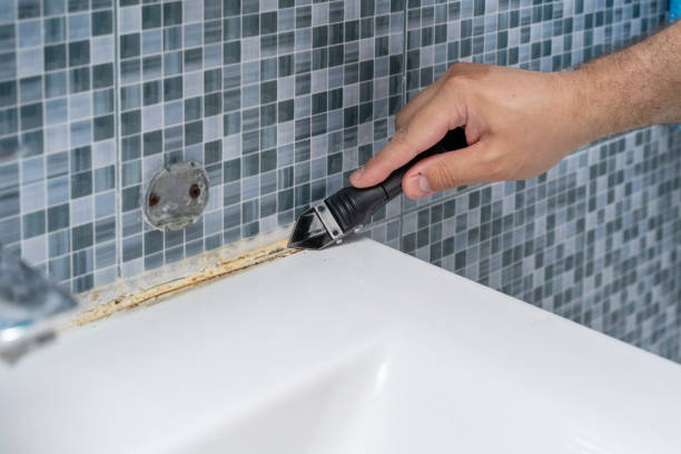 Best Mold Removal Near Me  in Watchung, NJ